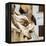 Italy, Rome. Piazza della Rotunda, close-up of Fontana del Pantheon.-Alison Jones-Framed Premier Image Canvas