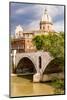 Italy, Rome. Tiber River.-Alison Jones-Mounted Photographic Print