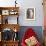 Italy, Sardinia, Gavoi. Sheep Inside a Hay Filled Barn-Alida Latham-Framed Photographic Print displayed on a wall