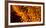 Italy, Sardinia, Ovodda. Off Focus Fire and Glowing Embers-Alida Latham-Framed Photographic Print