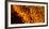 Italy, Sardinia, Ovodda. Off Focus Fire and Glowing Embers-Alida Latham-Framed Photographic Print