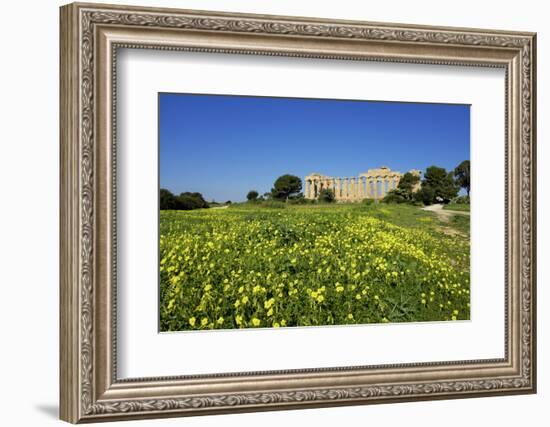 Italy, Sicily, old city of Selinunte, ruins of the Greek temple-Michele Molinari-Framed Photographic Print