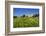 Italy, Sicily, old city of Selinunte, ruins of the Greek temple-Michele Molinari-Framed Photographic Print