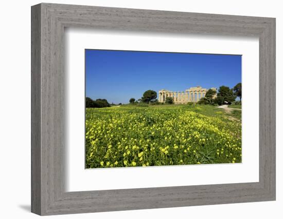 Italy, Sicily, old city of Selinunte, ruins of the Greek temple-Michele Molinari-Framed Photographic Print