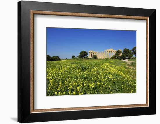 Italy, Sicily, old city of Selinunte, ruins of the Greek temple-Michele Molinari-Framed Photographic Print