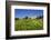 Italy, Sicily, old city of Selinunte, ruins of the Greek temple-Michele Molinari-Framed Photographic Print