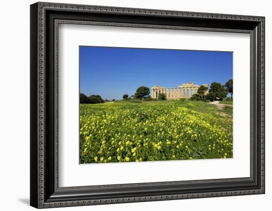 Italy, Sicily, old city of Selinunte, ruins of the Greek temple-Michele Molinari-Framed Photographic Print