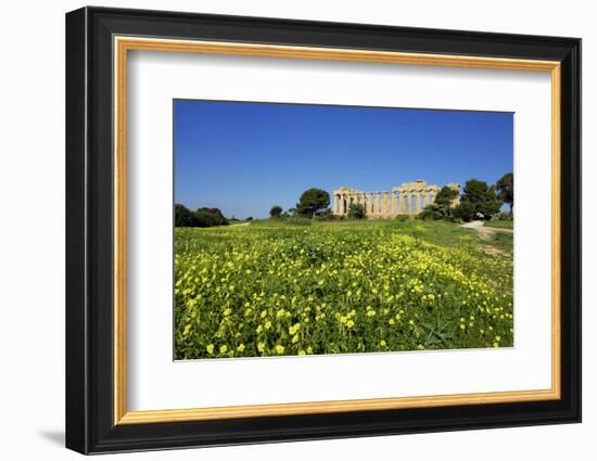 Italy, Sicily, old city of Selinunte, ruins of the Greek temple-Michele Molinari-Framed Photographic Print