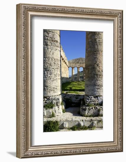 Italy, Sicily, Segesta. Greek temple columns.-Michele Molinari-Framed Photographic Print