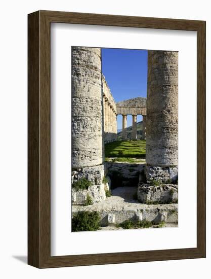Italy, Sicily, Segesta. Greek temple columns.-Michele Molinari-Framed Photographic Print