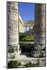 Italy, Sicily, Segesta. Greek temple columns.-Michele Molinari-Mounted Photographic Print