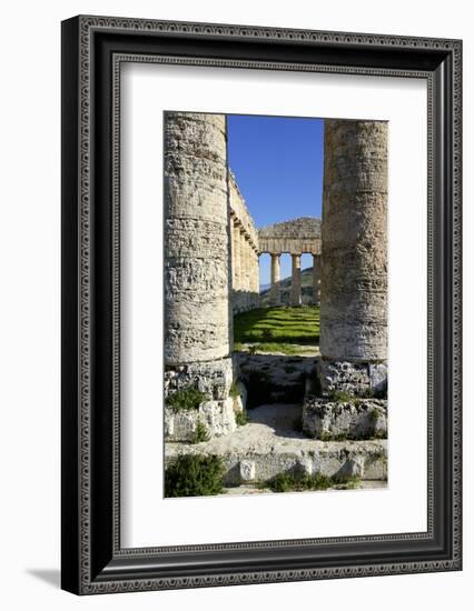 Italy, Sicily, Segesta. Greek temple columns.-Michele Molinari-Framed Photographic Print