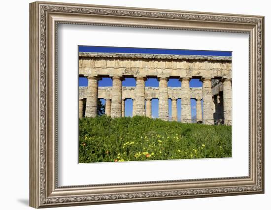 Italy, Sicily, Segesta. The Greek temple is made of 36 columns.-Michele Molinari-Framed Photographic Print