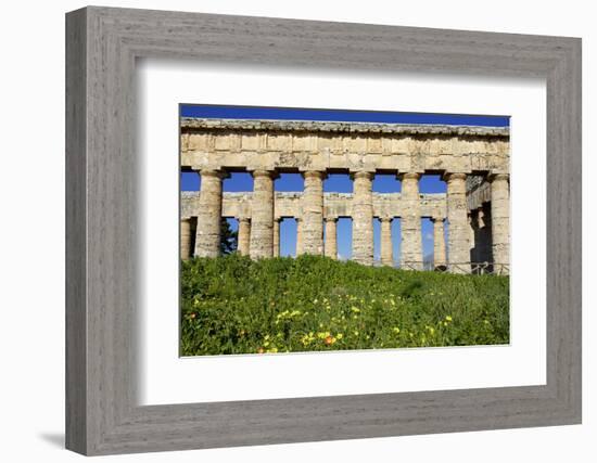 Italy, Sicily, Segesta. The Greek temple is made of 36 columns.-Michele Molinari-Framed Photographic Print