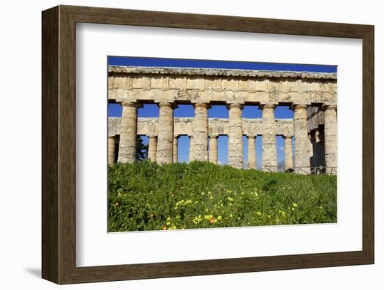 Italy, Sicily, Segesta. The Greek temple is made of 36 columns.-Michele Molinari-Framed Photographic Print