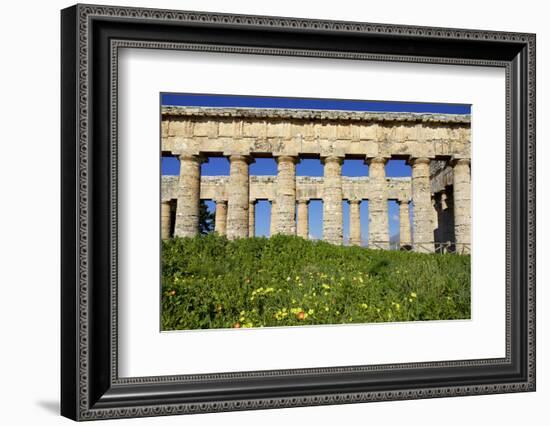 Italy, Sicily, Segesta. The Greek temple is made of 36 columns.-Michele Molinari-Framed Photographic Print