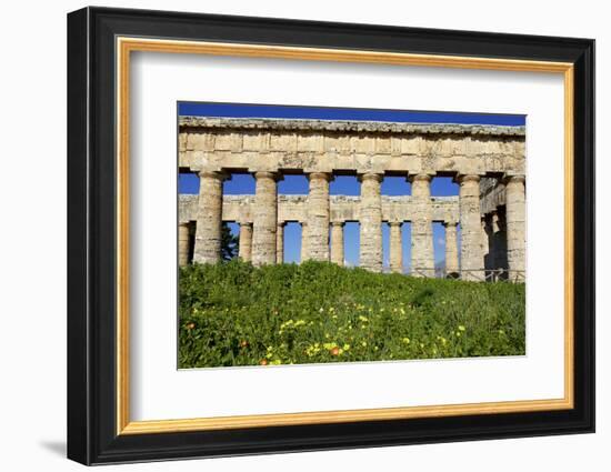 Italy, Sicily, Segesta. The Greek temple is made of 36 columns.-Michele Molinari-Framed Photographic Print