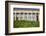 Italy, Sicily, Segesta. The Greek temple is made of 36 columns.-Michele Molinari-Framed Photographic Print