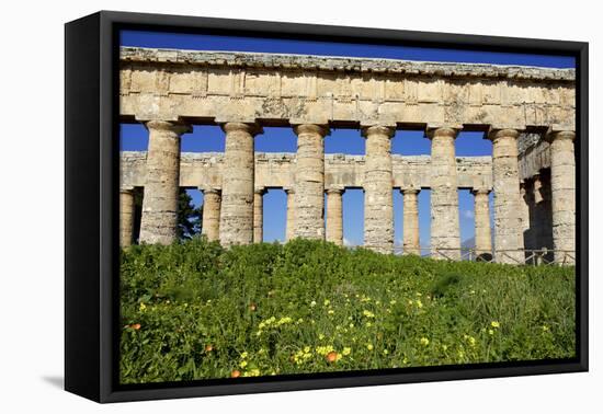 Italy, Sicily, Segesta. The Greek temple is made of 36 columns.-Michele Molinari-Framed Premier Image Canvas