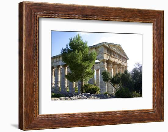 Italy, Sicily, Segesta. The Greek temple is made of 36 columns.-Michele Molinari-Framed Photographic Print