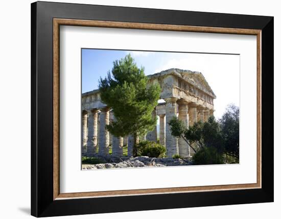 Italy, Sicily, Segesta. The Greek temple is made of 36 columns.-Michele Molinari-Framed Photographic Print