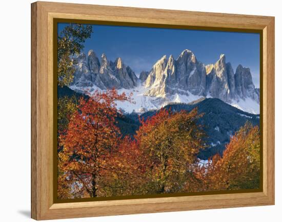 Italy, South Tirol, Villnš§tal, the Dolomites, Geislerspitzen, Trees, Autumn-Thonig-Framed Premier Image Canvas