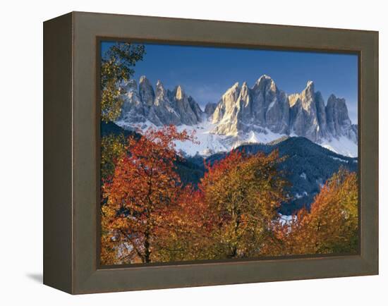 Italy, South Tirol, Villnš§tal, the Dolomites, Geislerspitzen, Trees, Autumn-Thonig-Framed Premier Image Canvas