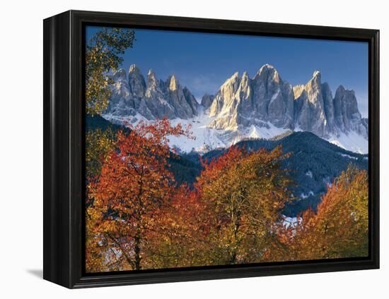 Italy, South Tirol, Villnš§tal, the Dolomites, Geislerspitzen, Trees, Autumn-Thonig-Framed Premier Image Canvas