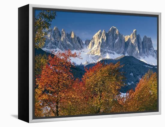 Italy, South Tirol, Villnš§tal, the Dolomites, Geislerspitzen, Trees, Autumn-Thonig-Framed Premier Image Canvas