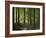 Italy, South Tyrol, Mittelberg, Earth Pillars-Thonig-Framed Photographic Print