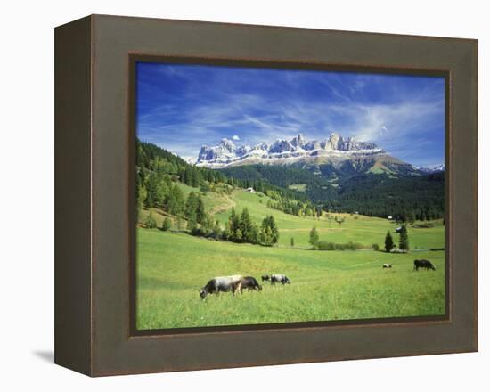 Italy, South Tyrol, Rose Garden Area, Nova Levante, Geiger Alm Rosengarten Group-Udo Siebig-Framed Premier Image Canvas