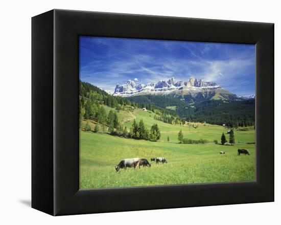 Italy, South Tyrol, Rose Garden Area, Nova Levante, Geiger Alm Rosengarten Group-Udo Siebig-Framed Premier Image Canvas