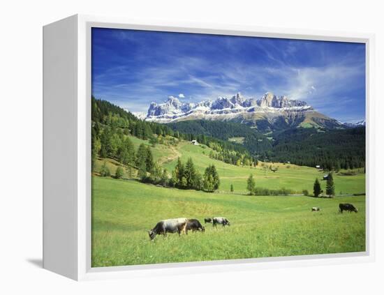 Italy, South Tyrol, Rose Garden Area, Nova Levante, Geiger Alm Rosengarten Group-Udo Siebig-Framed Premier Image Canvas
