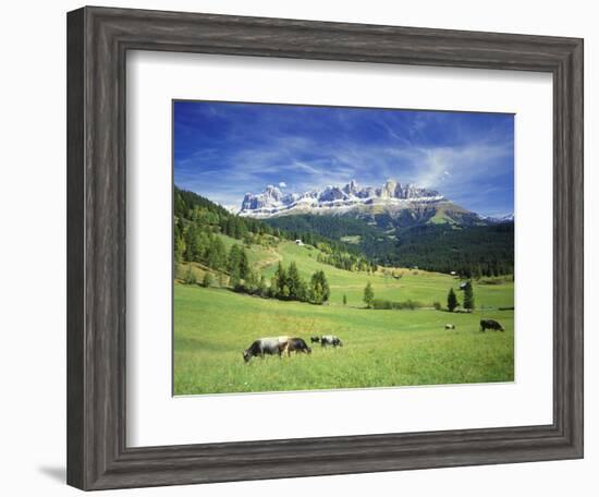 Italy, South Tyrol, Rose Garden Area, Nova Levante, Geiger Alm Rosengarten Group-Udo Siebig-Framed Photographic Print