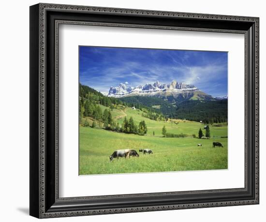 Italy, South Tyrol, Rose Garden Area, Nova Levante, Geiger Alm Rosengarten Group-Udo Siebig-Framed Photographic Print