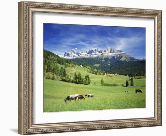 Italy, South Tyrol, Rose Garden Area, Nova Levante, Geiger Alm Rosengarten Group-Udo Siebig-Framed Photographic Print