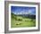 Italy, South Tyrol, Rose Garden Area, Nova Levante, Geiger Alm Rosengarten Group-Udo Siebig-Framed Photographic Print