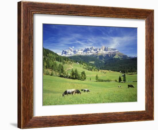 Italy, South Tyrol, Rose Garden Area, Nova Levante, Geiger Alm Rosengarten Group-Udo Siebig-Framed Photographic Print