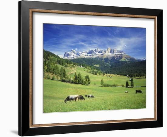 Italy, South Tyrol, Rose Garden Area, Nova Levante, Geiger Alm Rosengarten Group-Udo Siebig-Framed Photographic Print