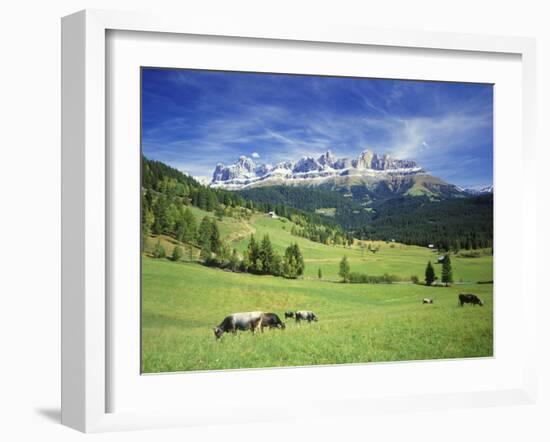 Italy, South Tyrol, Rose Garden Area, Nova Levante, Geiger Alm Rosengarten Group-Udo Siebig-Framed Photographic Print