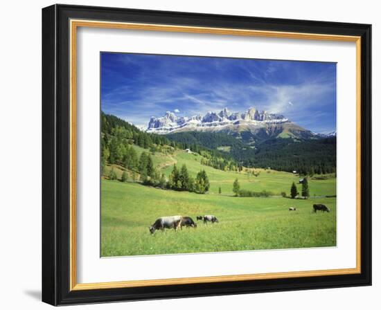 Italy, South Tyrol, Rose Garden Area, Nova Levante, Geiger Alm Rosengarten Group-Udo Siebig-Framed Photographic Print