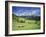 Italy, South Tyrol, Rose Garden Area, Nova Levante, Geiger Alm Rosengarten Group-Udo Siebig-Framed Photographic Print