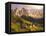 Italy, South Tyrol, Villn?Tal, St. Magdalena, Mountains, 'Geislerspitzen', Autumn-Thonig-Framed Premier Image Canvas