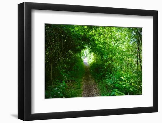 Italy, trail in the forest-Michele Molinari-Framed Photographic Print