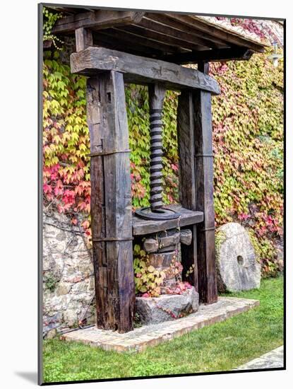Italy, Tuscany. an Olive Oil Press on Display at a Winery in Tuscany-Julie Eggers-Mounted Photographic Print