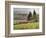 Italy, Tuscany. Autumn Ivy Covering a Building in a Vineyard-Julie Eggers-Framed Photographic Print