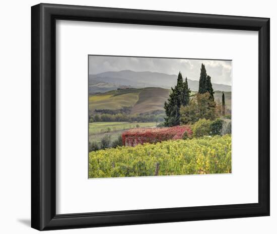 Italy, Tuscany. Autumn Ivy Covering a Building in a Vineyard-Julie Eggers-Framed Photographic Print