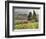 Italy, Tuscany. Autumn Ivy Covering a Building in a Vineyard-Julie Eggers-Framed Photographic Print