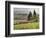 Italy, Tuscany. Autumn Ivy Covering a Building in a Vineyard-Julie Eggers-Framed Photographic Print