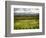 Italy, Tuscany, Autumn Vineyards-Terry Eggers-Framed Photographic Print